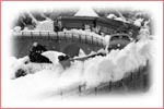 Svatomartinské hrátky s pluhy<br/>– sněžení 11. 11. 2007