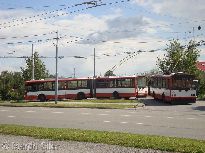 15TrM a 14Tr na konečné Novolíšeňská. Foto 29.8.2010 © Martin Šiler