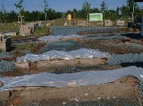 Foto 15. 7. 2011 © Roman Šiler.