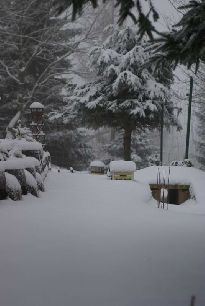 Pohled na nádraží Slívovice, které ale není vidět ...
Foto: 31. 12. 2007.