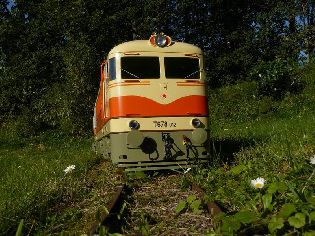 Foto © Bohumil Pavlíček.