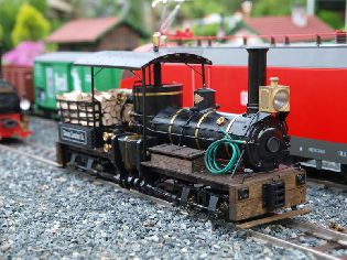 Zatím jediná »neregnerka« na kolejišti.